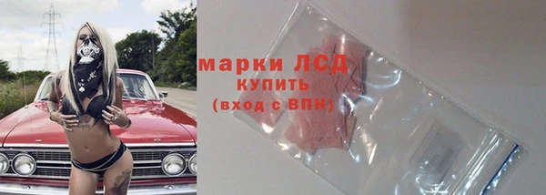 ешки Арсеньев